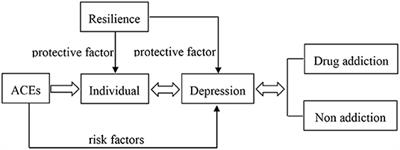 Does Childhood Adversity Lead to Drug Addiction in Adulthood? A Study of Serial Mediators Based on Resilience and Depression